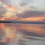 olympus 31-3-2007 039